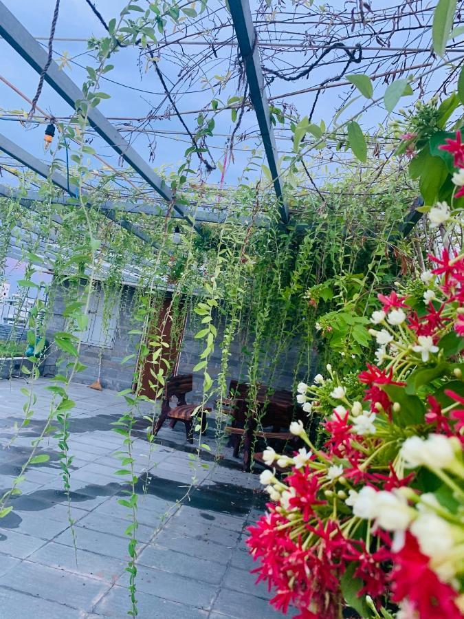 Animor Green Home Đà Nẵng Esterno foto