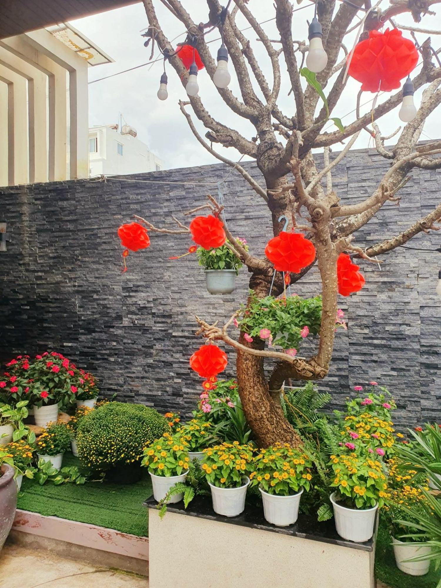 Animor Green Home Đà Nẵng Esterno foto